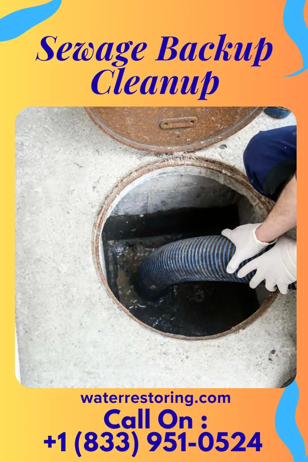 Sewage Backup Cleanup in Waxhaw, NC