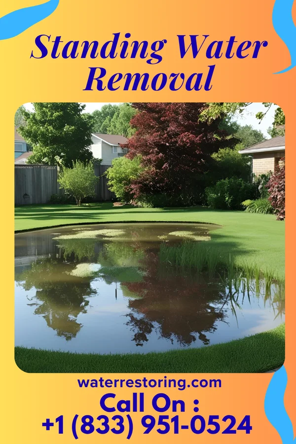 Standing Water Removal in Waxhaw, NC